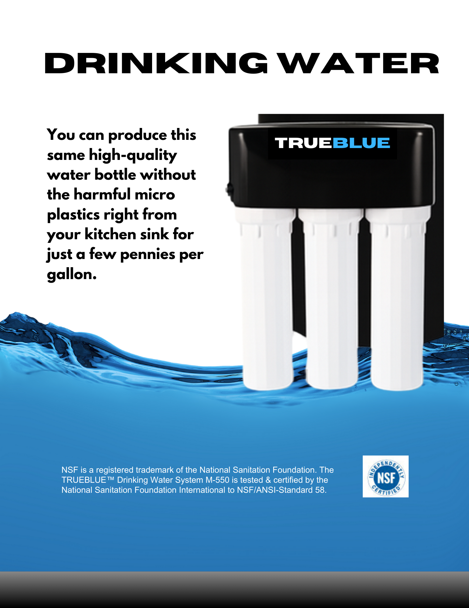 TrueBlue Drinking Water System
